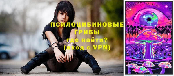 ALPHA PVP Вяземский