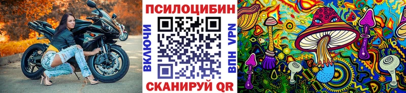 Галлюциногенные грибы Cubensis  Купить закладки  Павловская 