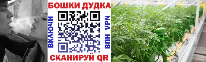 Каннабис гибрид Павловская